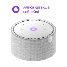 Яндекс Станция Мини без часов Серая (YNDX-00021)