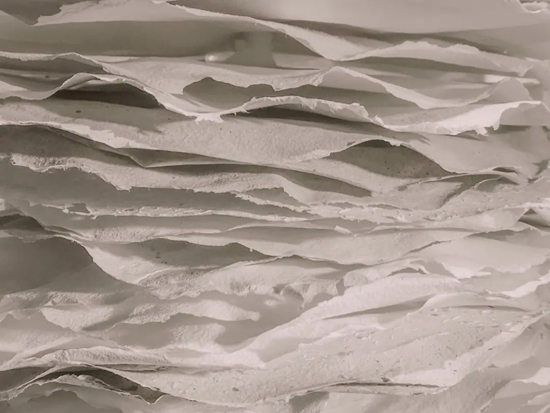 Руководство по эксплуатации парогенератора CareStyle 9 напечатано на 100% переработанной бумаге.